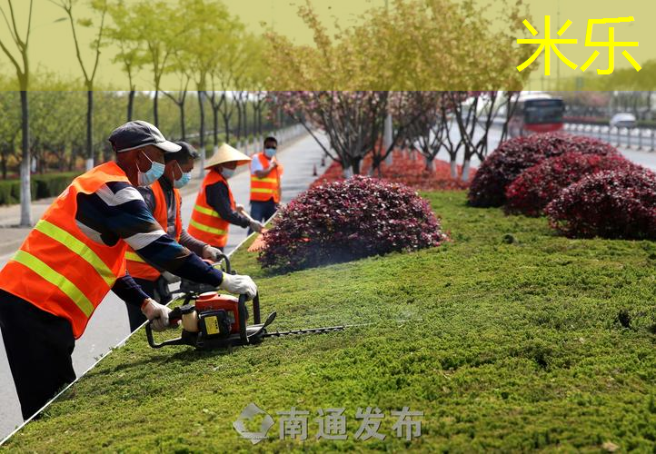米乐m6官网：揭秘最新儿童滑梯高度，青少年的梦幻玩乐世界！